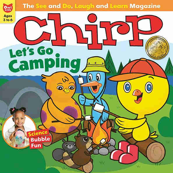 Book cover for Chirp Let's Go Camping!